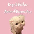 Rags to Riches Animal Rescue-ragstorichesanimalrescu