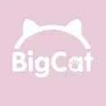bigcatsupply-bigcatsupply