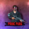 PRINC•PUBG-princ_pubg1
