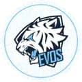 EVOS ESPORTS-evosesports