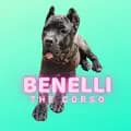 Benelli The Corso-benelli_the_cane_corso
