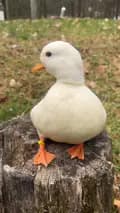 The Quack House-dunkin.ducks