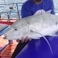 GURU นักตกปลา-kraifishing1