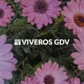 Viveros GDV-viveros.gdv