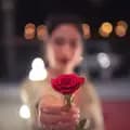 Mawar Merah 🌹-niswahbm