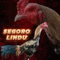 SEGORO LINDU-segoro_lindu