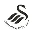 Swansea City AFC-swansofficial
