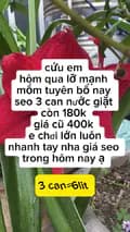 Nguyễn lê 999-nguyen.l.99