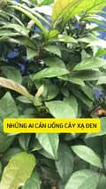 Dược Sĩ Nguyễn Thêu-duocsinguyentheu1
