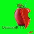 QalampiR TV-qalampirtv