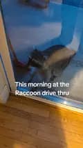 Raccoon Drive Thru-theraccoondrivethru