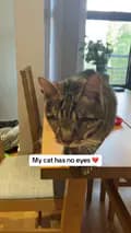 Blind Cat Dmitri-blind_cat_dmitri