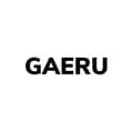 GAERU-gaerubusiness
