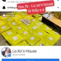 Shop Loxo House-hoa_tran95