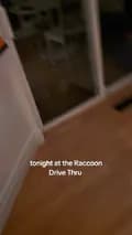 Raccoon Drive Thru-theraccoondrivethru