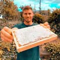 𝚜𝚔_𝚋𝚎𝚎𝚔𝚎𝚎𝚙𝚒𝚗𝚐-sk_beekeeping