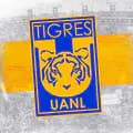 Club Tigres-clubtigres