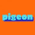 Pigeon Studios-pigeonstudiosuk