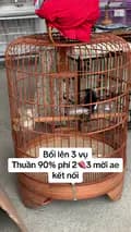 Phụ Kiện chim cảnh Nguyễn Kiên-nguyenkien836
