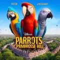 Chucky-parrotsofprimrosehill