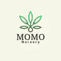 MOMO NURSERY-momo_nursery