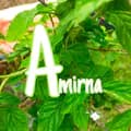 amirna-amirna079