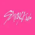 Stray Kids-jypestraykids
