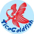 Ticogoldfish-ticogoldfish