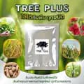 Treeplus11-treeplus_11