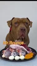 BounceThePitbullﾊﾞｳﾝｽﾁｬﾝﾈﾙ🇯🇵-mr.bounce2015