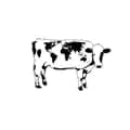 World Cow-world_cow