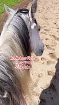 Free Spirit Equestrian-freespiritequestrian