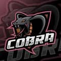 COBRA_YouTube1-cobra_youtube1