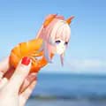 shrimp-kokoshrimp