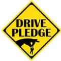 Drive Pledge-drivepledge