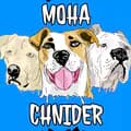 moha_chnider-moha_chnider