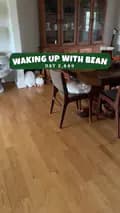 Beauty and the Bean-beautynthebean