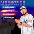 Morrongo-morrongo_11