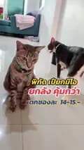แมวกวักลาภ-beckoningcat1