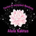 alula kaktus-alula_kaktuss