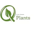 Q plants จำหน่ายหัวอาหารพืช-qplantsthailand