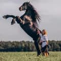 Horses and people-ohorsesandpeople