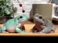 𓆏-frogsandanxiety