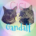 Cats and music-catsandmusic18