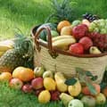 Fruits🥭🍇🍎🍊🍑🍒🥝🥥-fruitsfarmer
