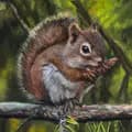 Nutty squirrel-nutty_squirrel