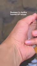 Haup Microfisher-haup.microfisher