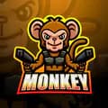 monkey 🐵-monkey4437