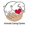 Cats love-animals_caring